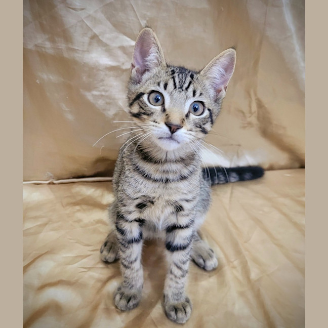 Photo of Breadcrumb 🍞🍞