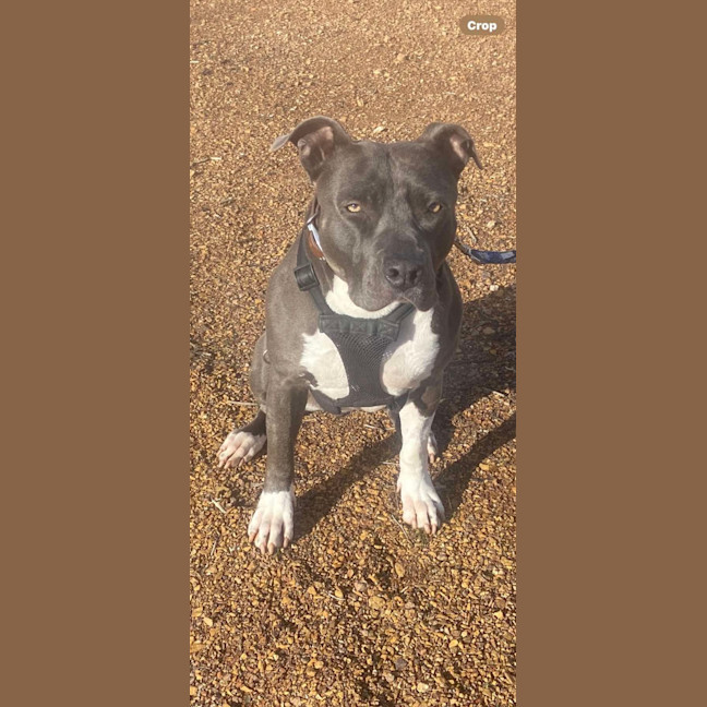 Photo of Estée Lauder