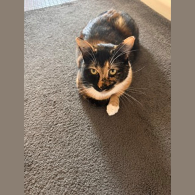 Photo of Lexi