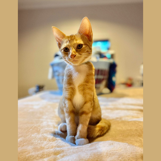 Photo of Tommy