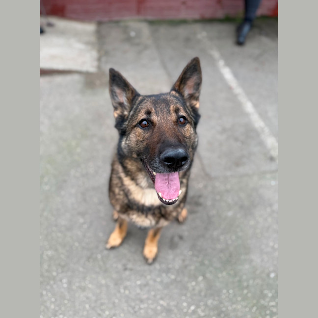 Photo of Lenny