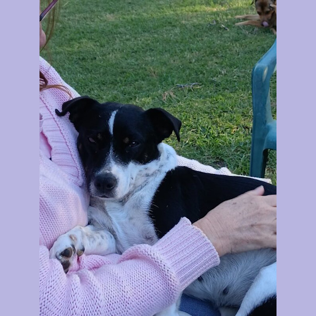 Photo of Maggie