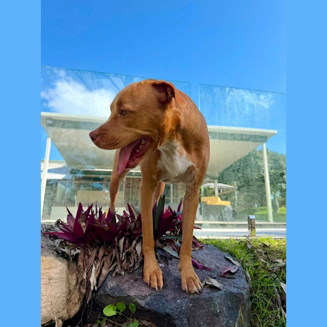 Photo of Polly