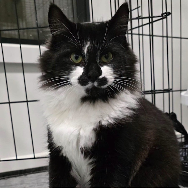 Photo of Mrs Tux
