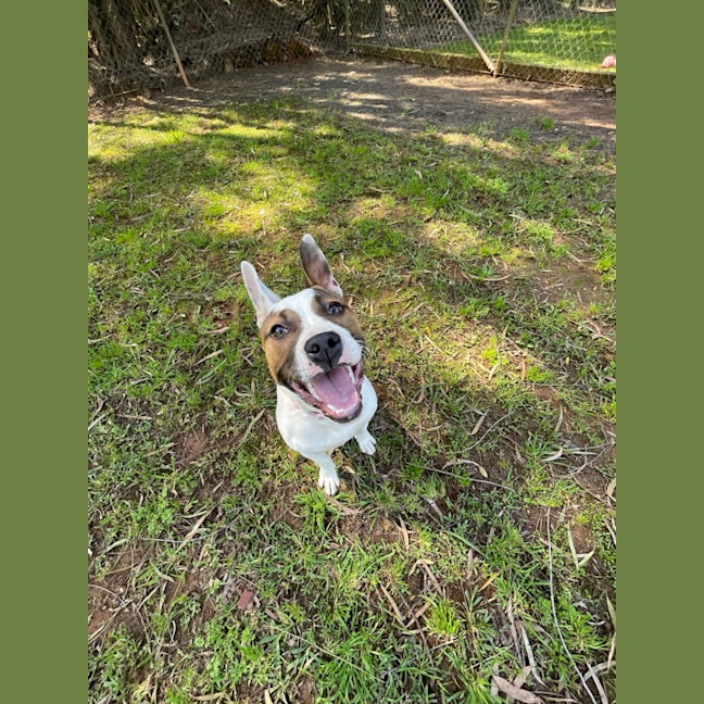 Photo of Misty