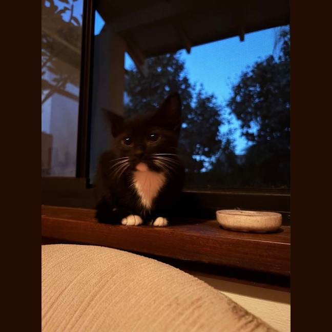 Photo of Twilight