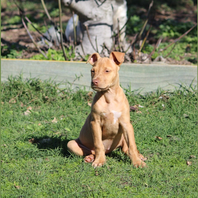 Photo of Dottie