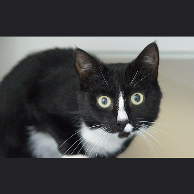 Photo of Marceline