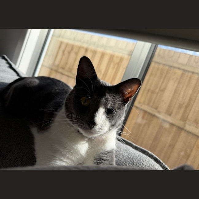 Photo of Raja