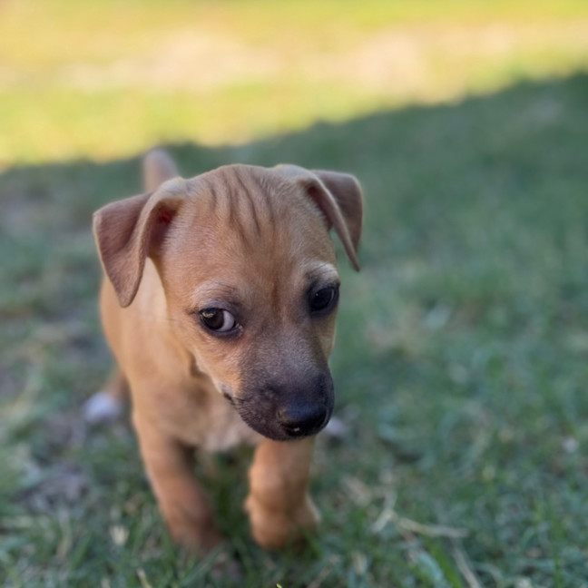 Photo of Milly