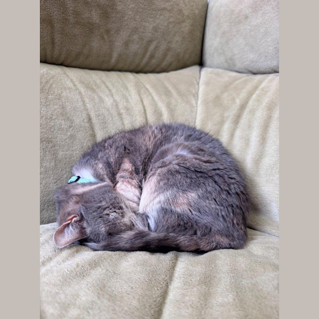 Photo of Susan Uffelman