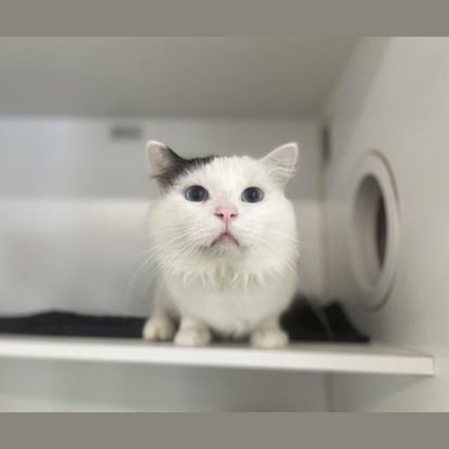Photo of Finn