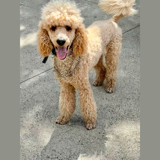 Photo of Kath Murray