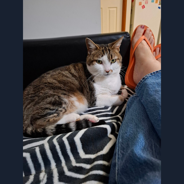 Photo of Little Girl