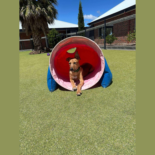 Photo of Reginald