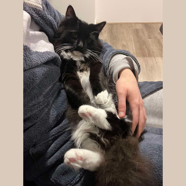 Photo of Albert