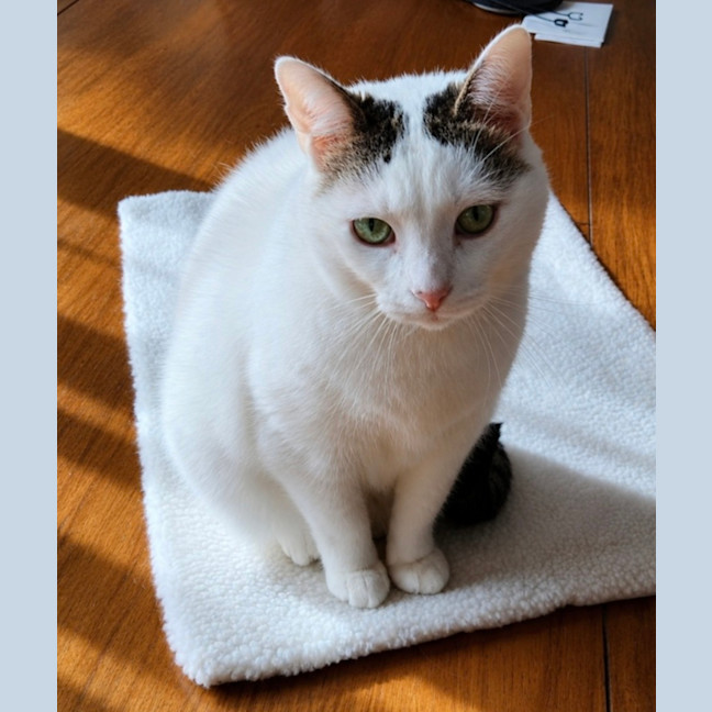 Photo of Jewel