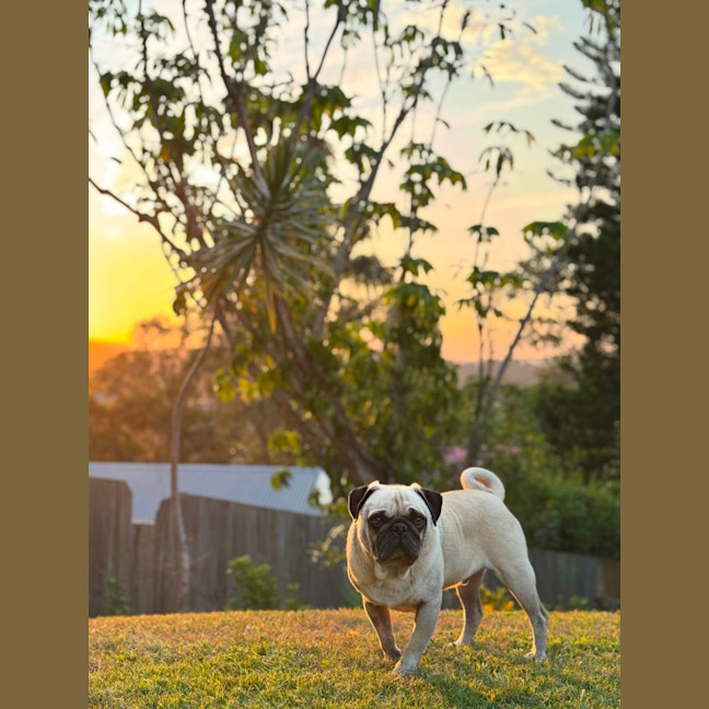 Photo of Casper 👻