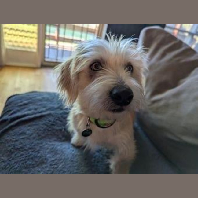 Photo of Georgie O'cleary