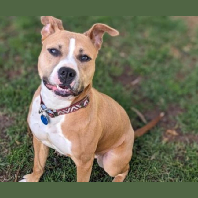 Photo of Kimber