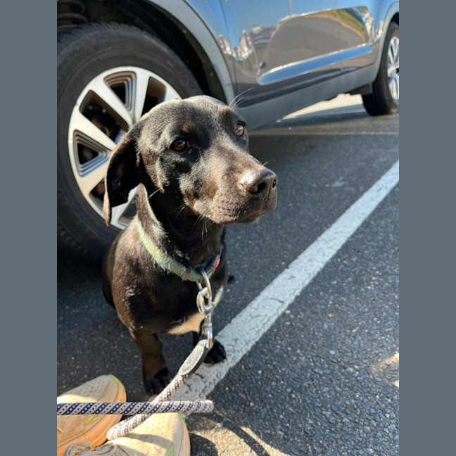 Photo of Bud