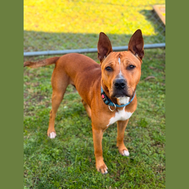 Photo of Reuben
