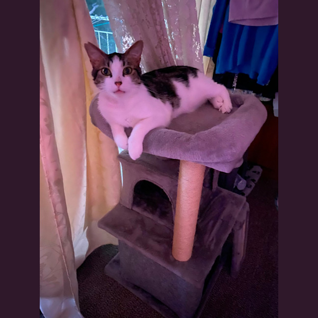 Photo of Bubba