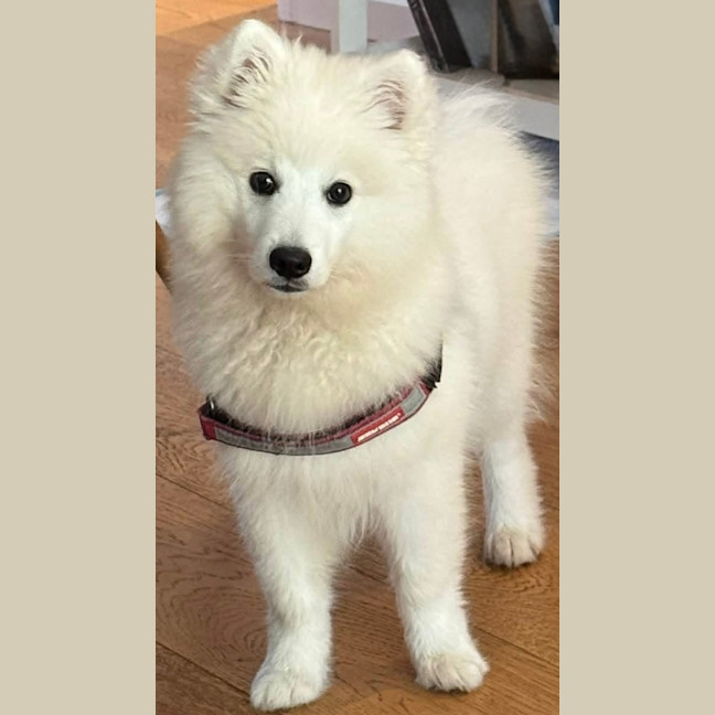 Photo of Yuki