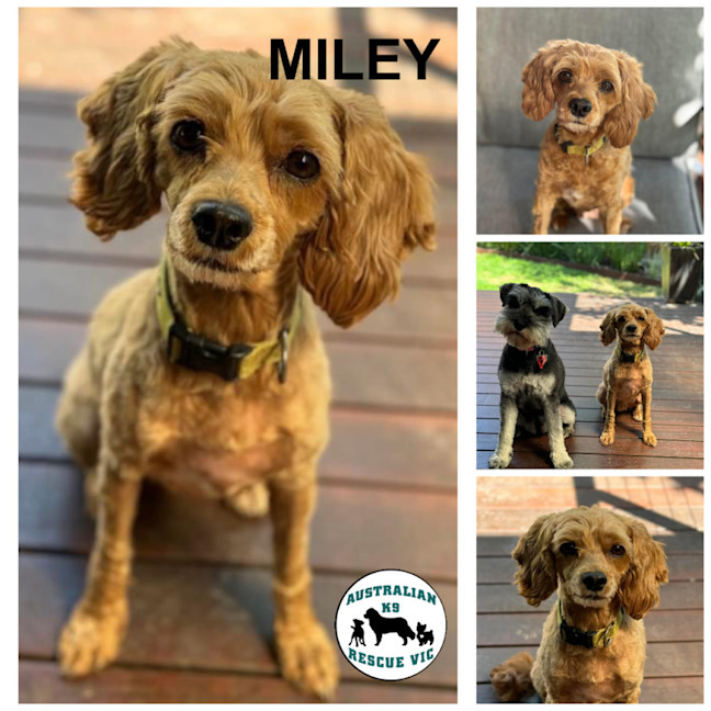Photo of Miley 