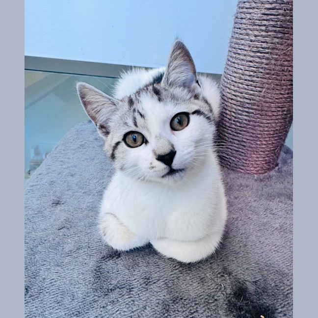 Photo of Snugs  ✨