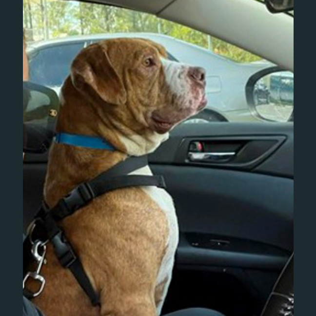 Photo of Murphy