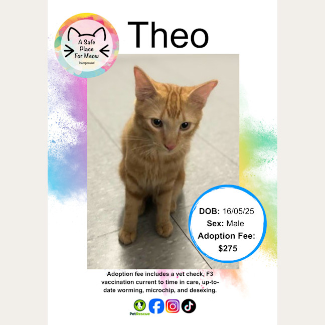 Photo of Theodore