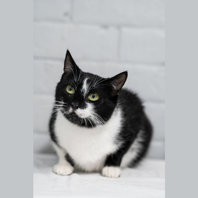 Photo of Morticia