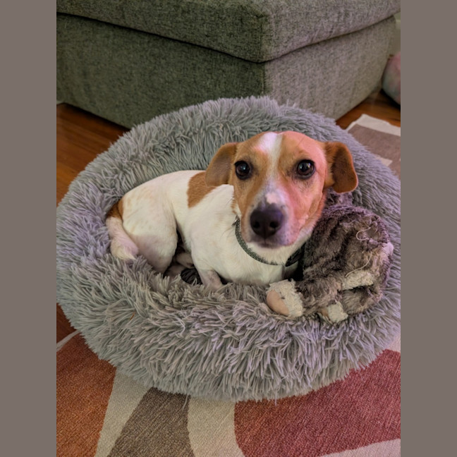 Photo of Chip Douglas