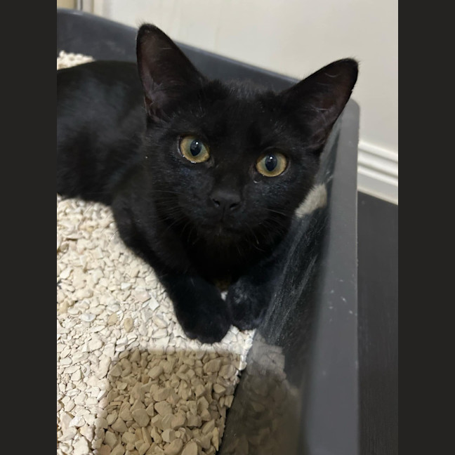 Photo of Monty
