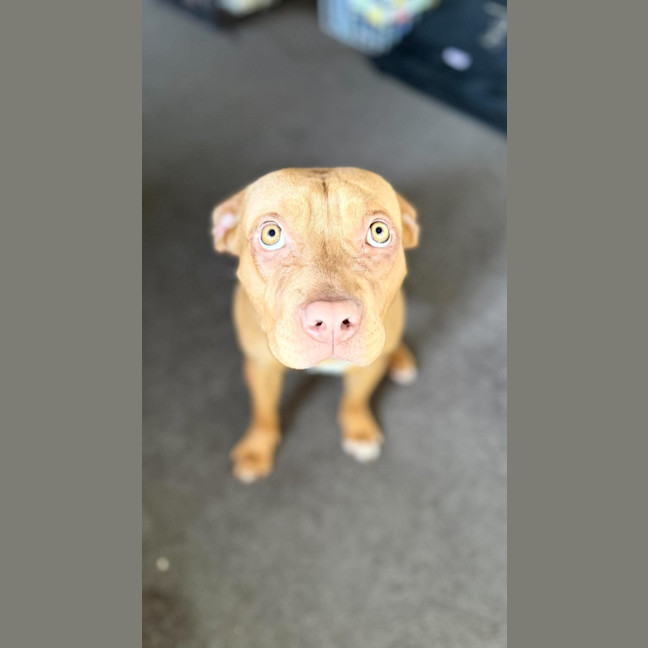 Photo of Kit Kat