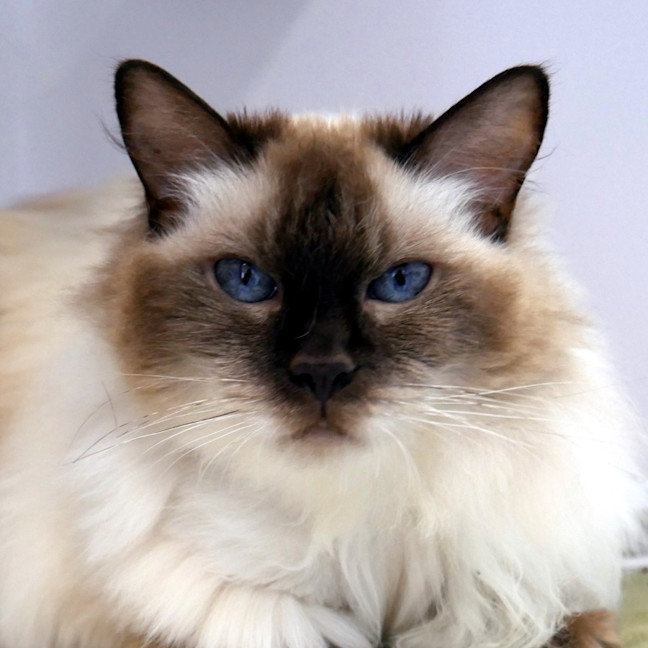 Photo of Chloe Sua012792