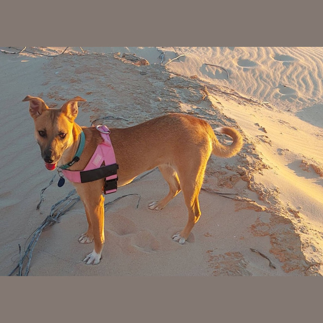 Photo of Ava