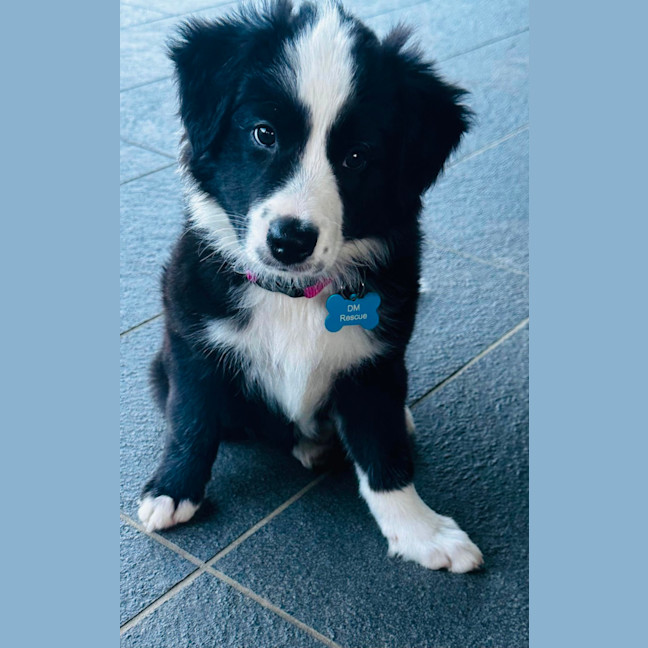 Photo of Elsa