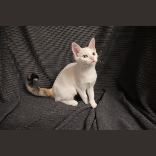 Photo of Katinka