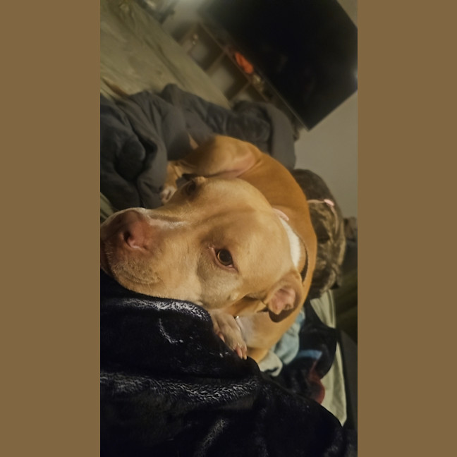 Photo of Luna
