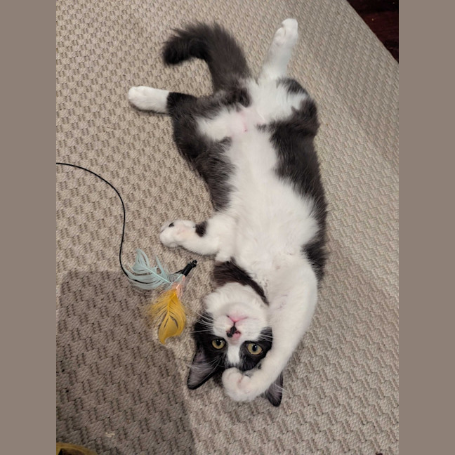 Photo of Nini 