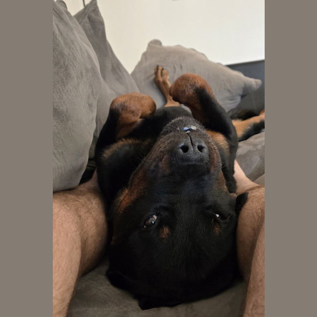 Photo of Lj
