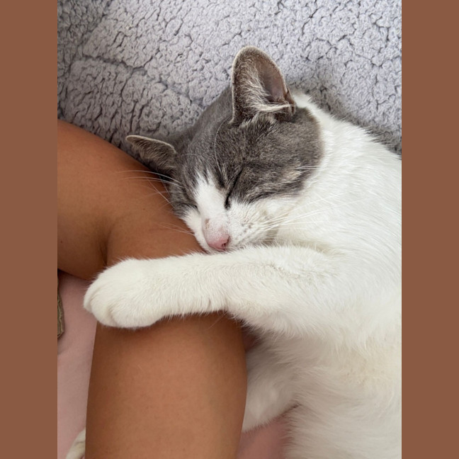 Photo of Alice