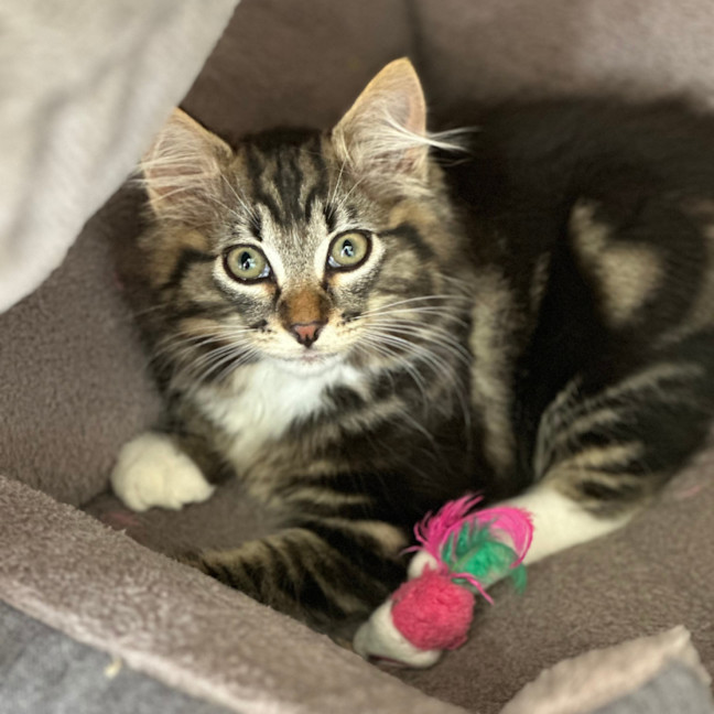 Photo of Edmond