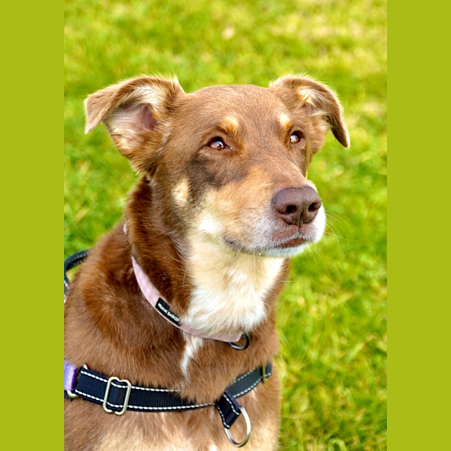 Photo of Maya