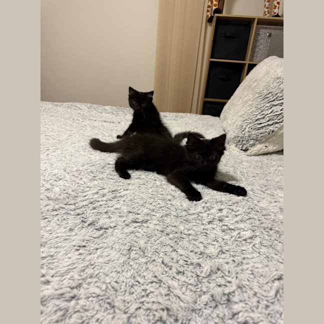 Photo of Minnie & Mickey