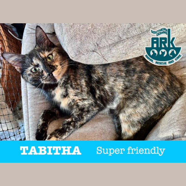 Photo of Tabitha