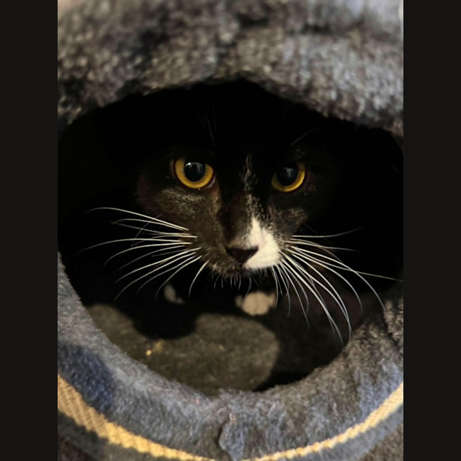 Photo of Charlie