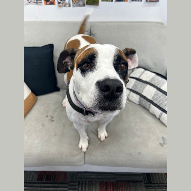 Photo of Maxie